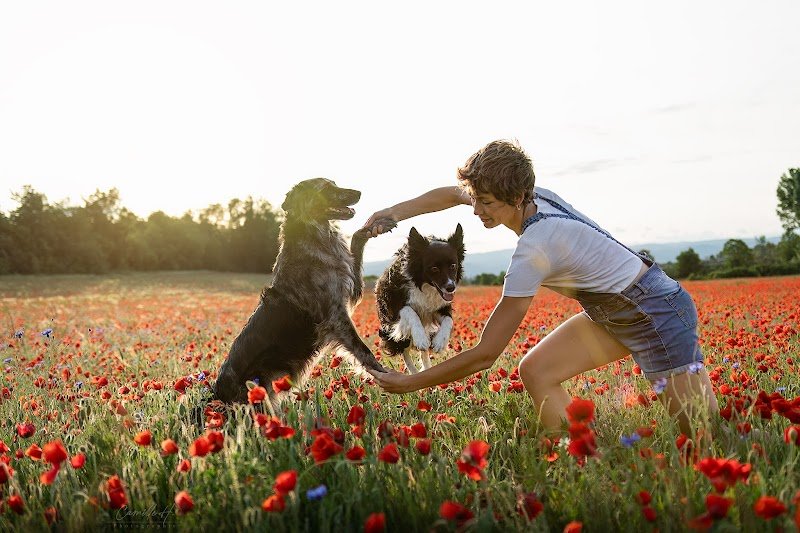 Namasdog - Une éducation bienveillante - Drôme - photo 2