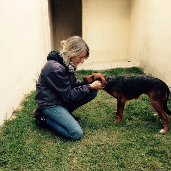 Educa'Priss-Educateur canin Ardèche Drôme - photo 2