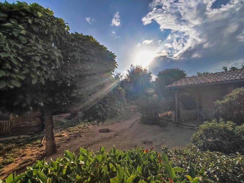 Brucicanin - photo 3