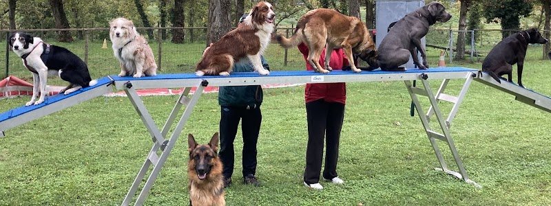 Sport canin ardechois - photo 2