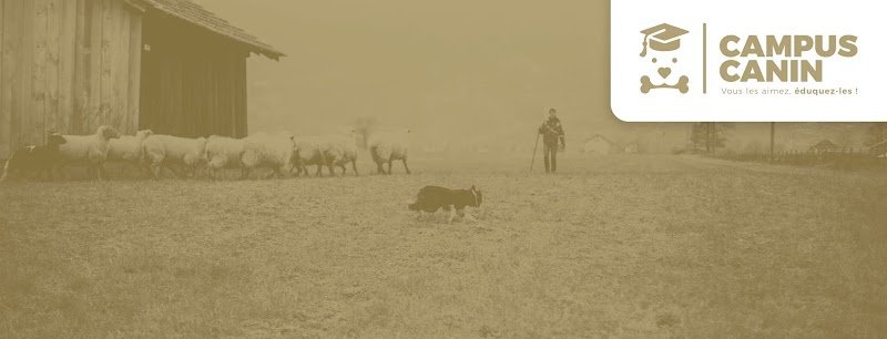 Campus Canin - photo 1