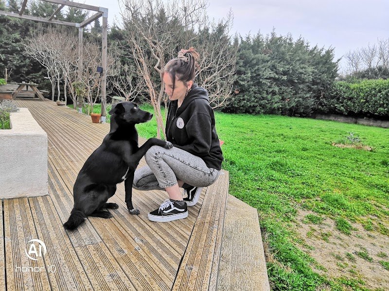 Le Chien Qui Cause - photo 1