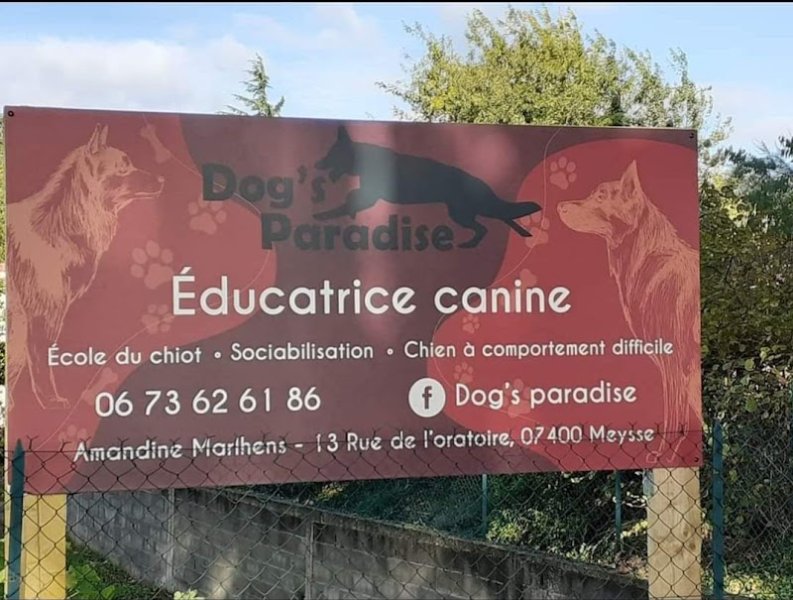 Dog's paradise - photo 1