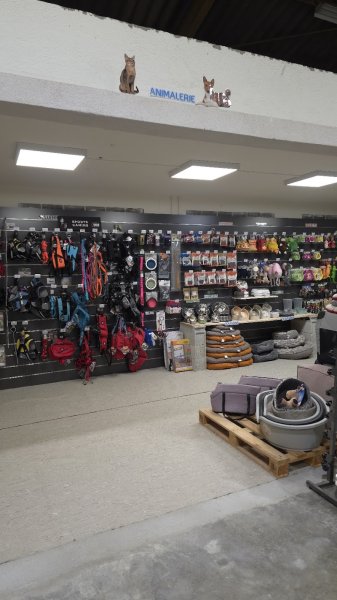 Nature dog 07 - photo 1