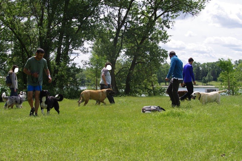 Olivier pro-canin - photo 2