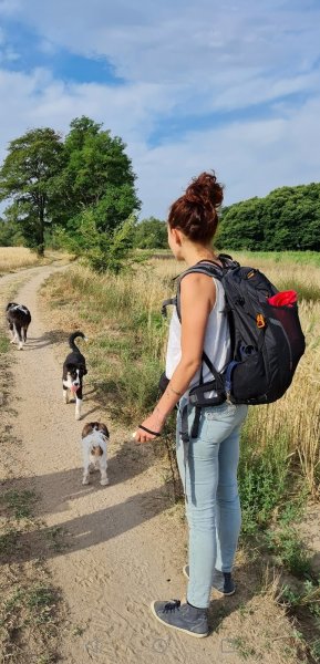 Déclic éducation canine - photo 2