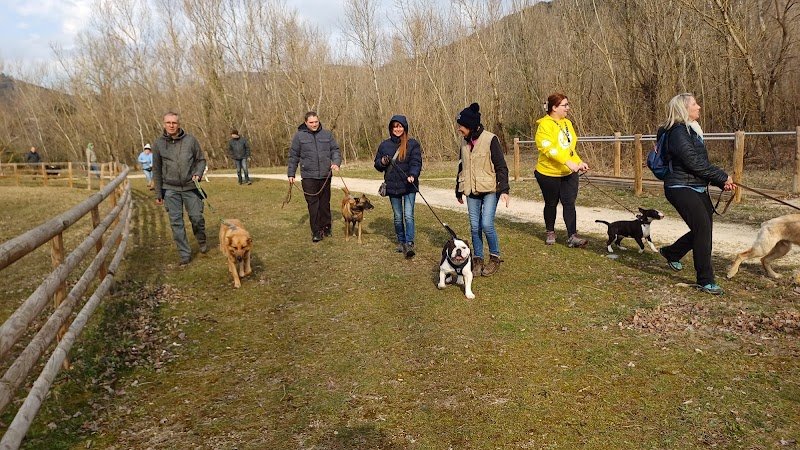 Club Canin Saint Georges Les Bains - photo 1