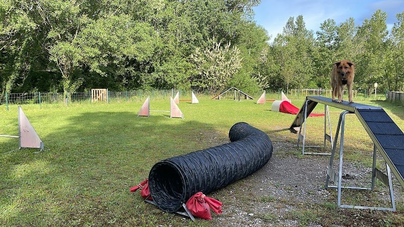 Club Canin Saint Georges Les Bains - photo 2