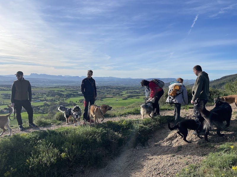 Club Canin Saint Georges Les Bains - photo 3