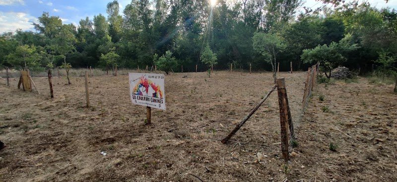 Les Couleurs Canines - Educateurs Canins et Pet-Sitters - photo 1