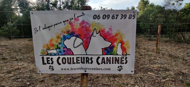 Les Couleurs Canines - Educateurs Canins et Pet-Sitters - photo 3