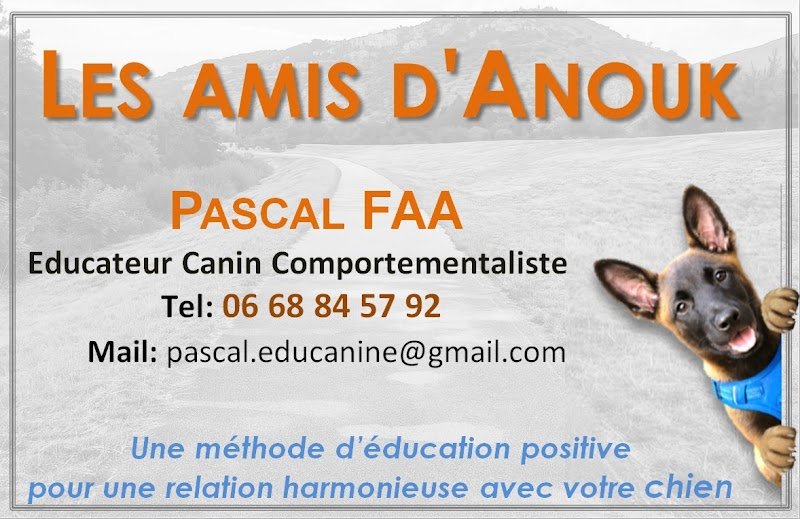 Les Amis d'Anouk - Education - Rééducation canine - photo 2