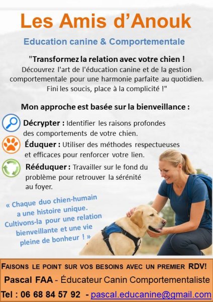 Les Amis d'Anouk - Education - Rééducation canine - photo 3