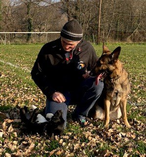 Nos Chiens Education - photo 1