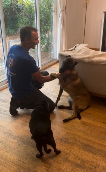 Nos Chiens Education - photo 2