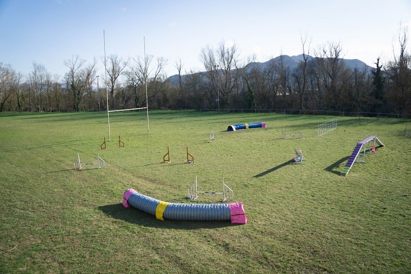 Les Chiens de la Payre - CSLG Ardèche - photo 1