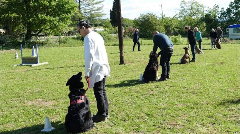 Education canine 07 Laurac en vivarais