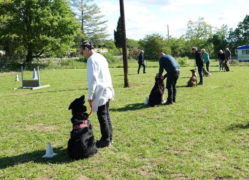 Education canine 07 Laurac en vivarais - photo 2