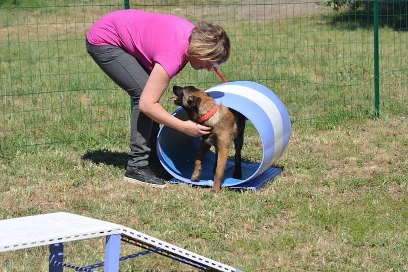 Education canine 07 Laurac en vivarais - photo 3