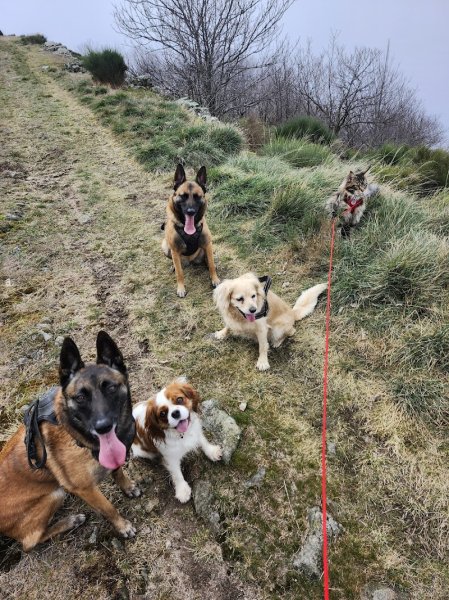 Pension canine espace canin ardechois