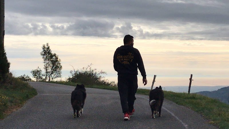 Aubin Galipaud Educateur Canin GPDT-K9 Burdignes - photo 1