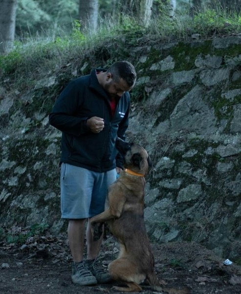 Aubin Galipaud Educateur Canin GPDT-K9 Burdignes - photo 2