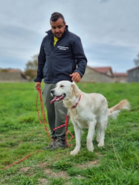 Aubin Galipaud Educateur Canin GPDT-K9 Burdignes - photo 3