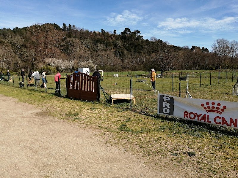 Club canin Terre des Chiens - photo 1