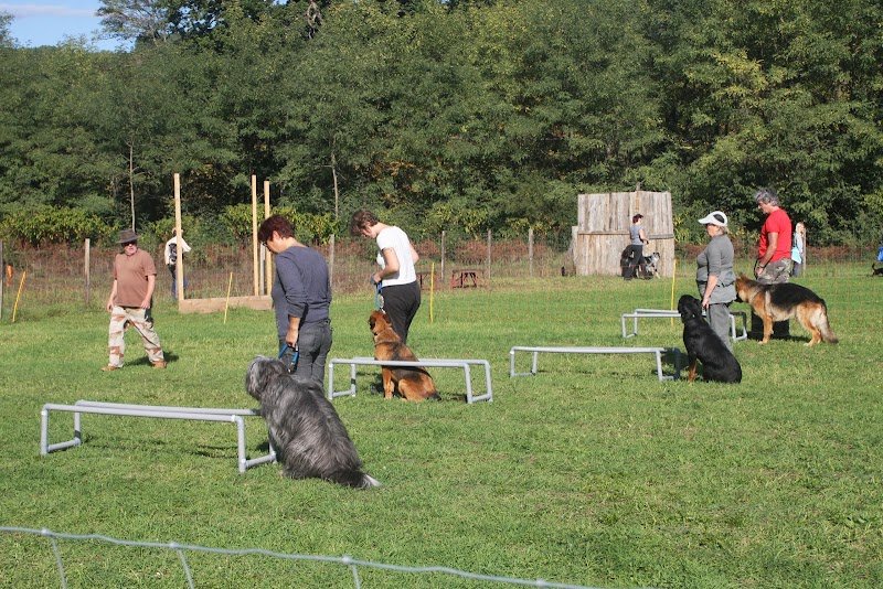 Club canin Terre des Chiens - photo 2