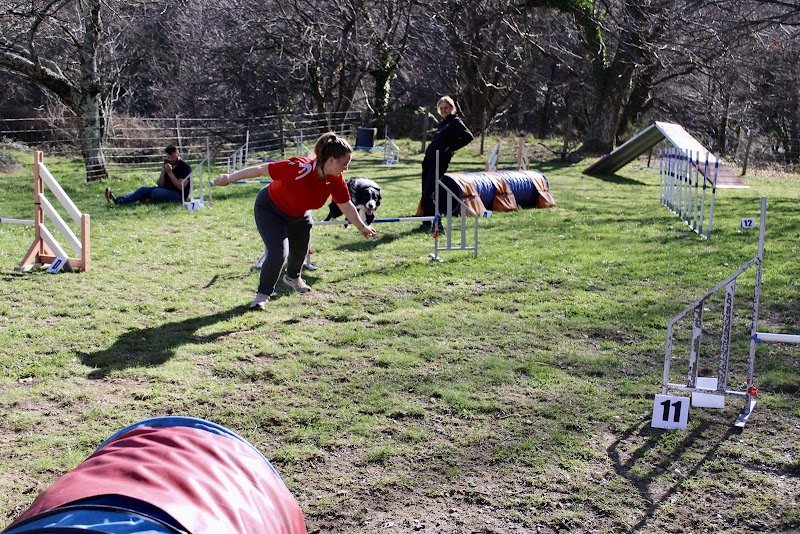 CV’N DOG - photo 1