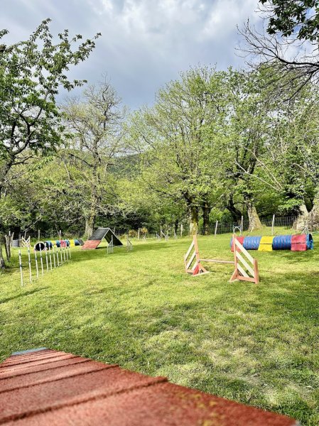 CV’N DOG - photo 2