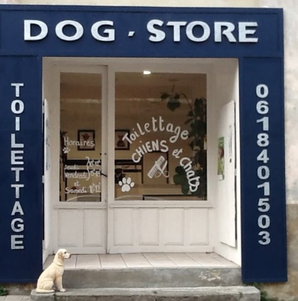 DOG STORE - photo 1