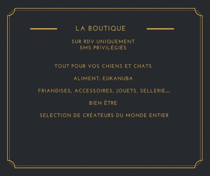 Education Canine Des Murmures De La Foret - photo 3