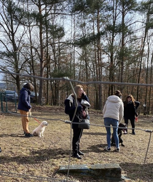 Education Canine de Saint Ferréol d'Auroure - photo 1