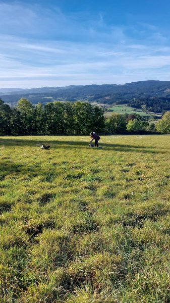 L'école de rex-éducateur canin Haute-Loire - photo 2
