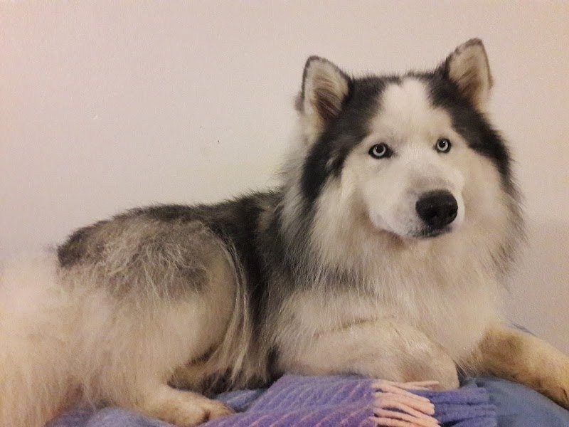 L'Ardèchiens - photo 3