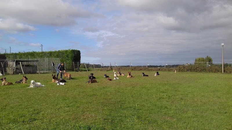 Greg votre educateur - photo 2