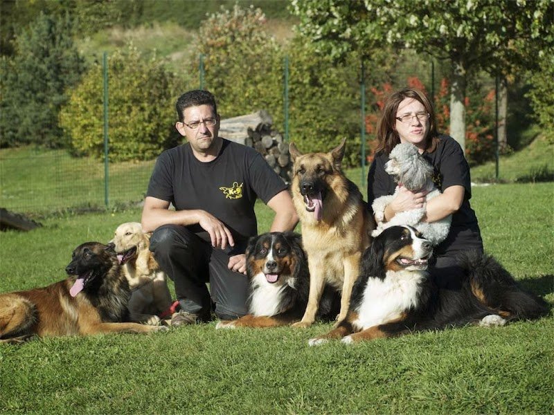 Educateur canin à domicile - photo 1
