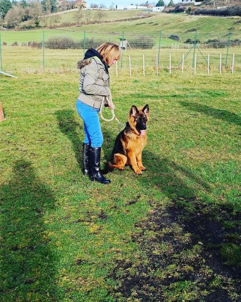 Educateur canin à domicile - photo 2