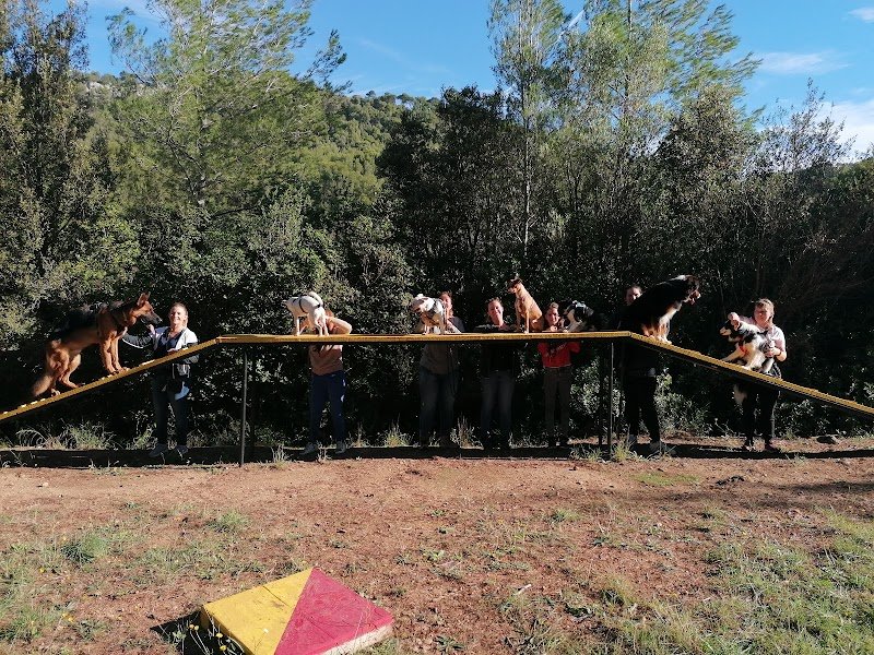 Ecole du chien - Saint Cyr sur Mer - photo 1