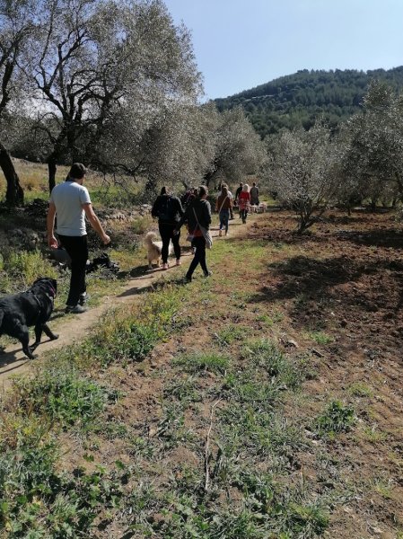 Ecole du chien - Saint Cyr sur Mer - photo 2