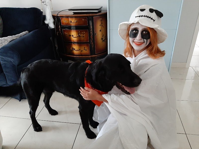 Connexion Canine Lyon - Éducateur canin Lyon - photo 2