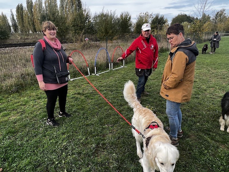 Education et Loisirs Canins du Santerre - photo 1