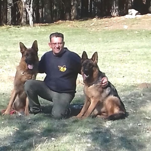 Lavore Saint -Regis Du Coin Éducateur Canin - photo 1