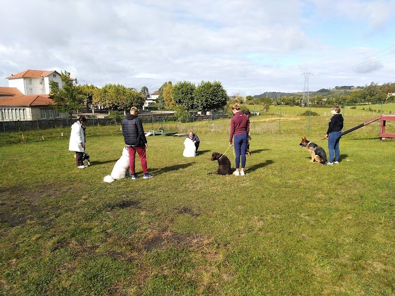 Lavore Saint -Regis Du Coin Éducateur Canin - photo 2