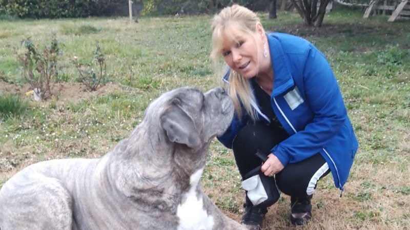 Comportementaliste Éducateur Canin spécialisée dans les mauvais comportements du chien, plus de 11 ans d'expériences.