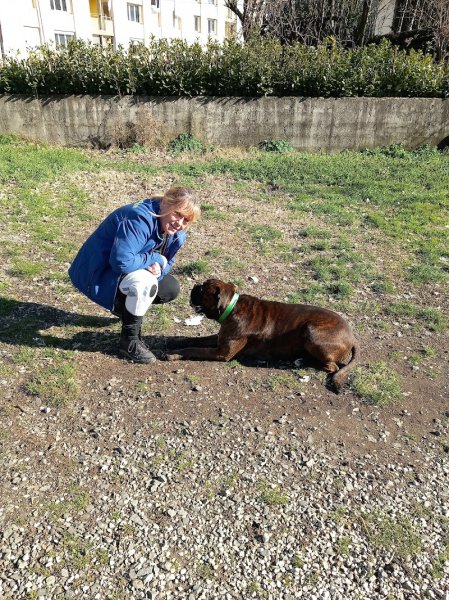 Comportementaliste Éducateur Canin spécialisée dans les mauvais comportements du chien, plus de 11 ans d'expériences. - photo 3