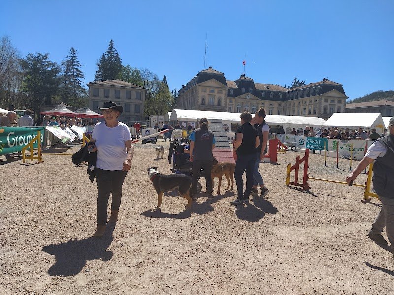 Avcd Sports Canins 43 - photo 1