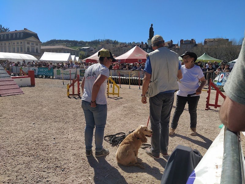 Avcd Sports Canins 43 - photo 2