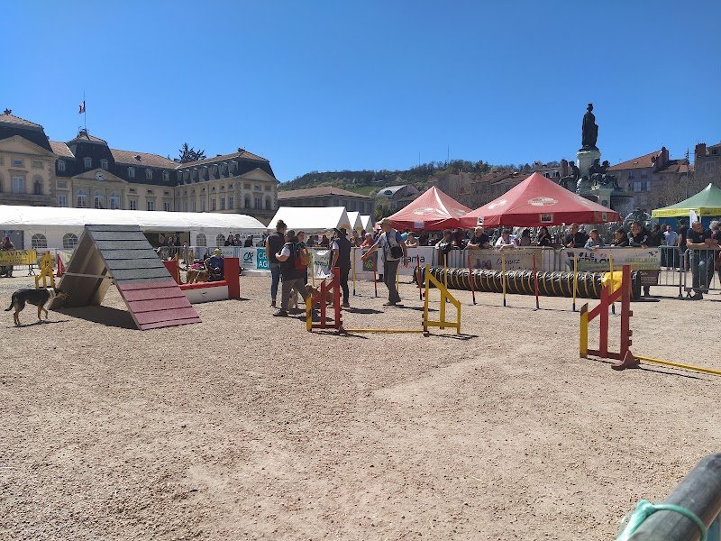 Avcd Sports Canins 43 - photo 3